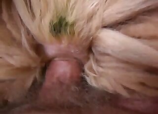 Screwing tight butt of an adorable youthful pup