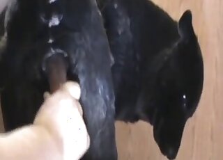 مهبلها الكهفي سوف يتعرض للضرب بقوة