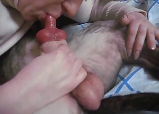 Aesthetic philander swallows a huge dick of a trained dog