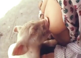 Real lady breastfeeding animals on camera - woman animal xxx 