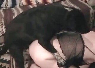 Sex-hungry hound is fucking a mature lady