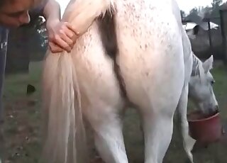 رجل رائع يضرب حصانًا أمام الكاميرا